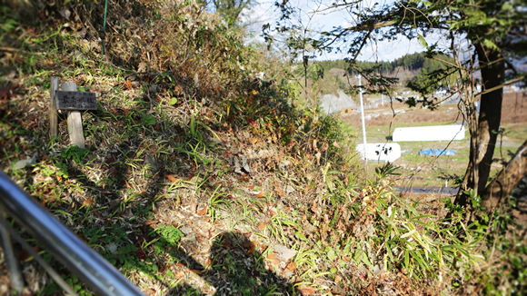 途中に津波到達点がありました。