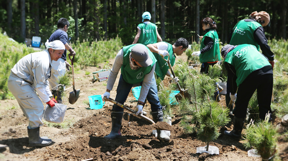 松原再生へ向けた第一歩として松苗の植え替えをしました